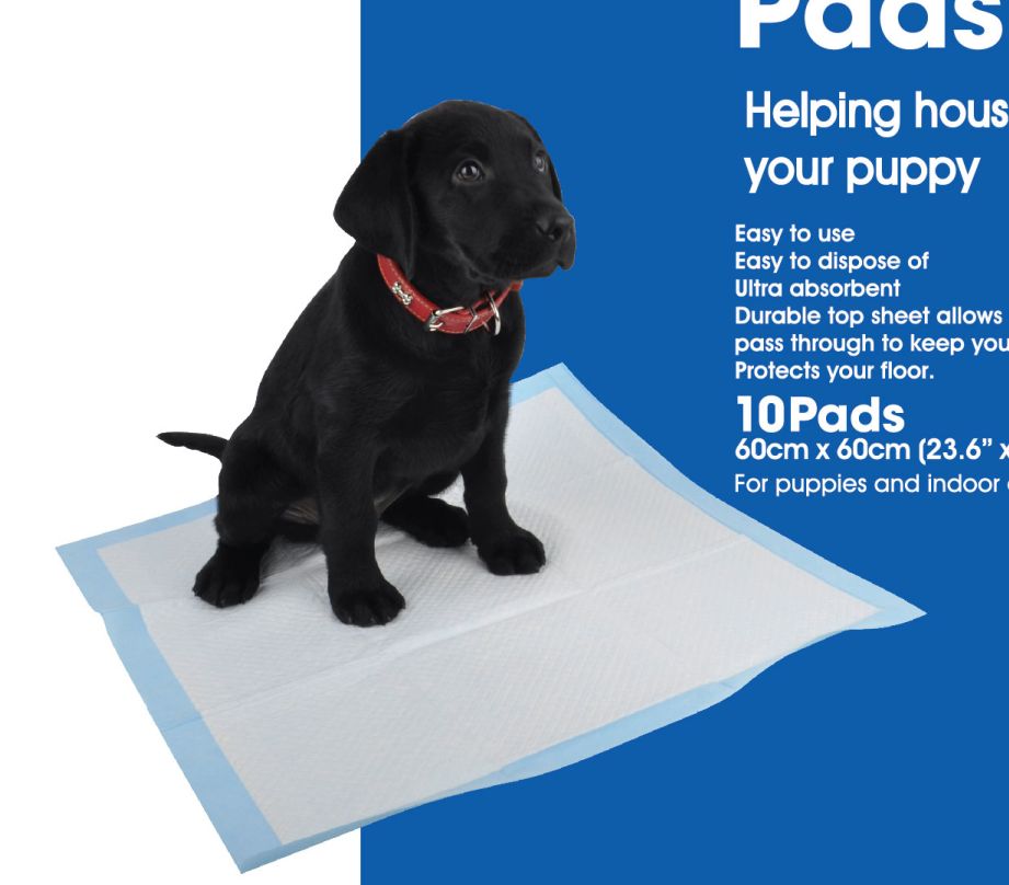High quality disposable dog pads with super absorption eliminate odors 5 layer popular in Brazil